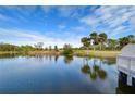 Serene lake view with lush greenery and palm trees at 13635 Twin Lakes Ln # 13635, Tampa, FL 33618