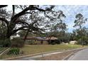 House exterior view showing a large lot and mature trees at 1505 E Park Cir, Tampa, FL 33610