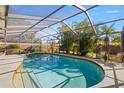 Inviting kidney-shaped pool with a screened enclosure at 683 Orangewood Dr, Dunedin, FL 34698