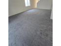 Spacious living room featuring grey carpeting at 12954 Fennway Ridge Dr, Riverview, FL 33579