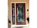 Elegant stained-glass front door with sidelights at 3205 Pleasant Lake Dr, Tampa, FL 33618