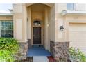 Front entrance with dark brown door and stone accents at 529 Vista Ridge Dr, Ruskin, FL 33570