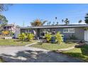 Gray house with palm trees and a long driveway at 4019 Helena Ne St, St Petersburg, FL 33703