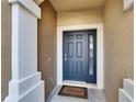 Dark gray front door with a glass panel and welcome mat at 4950 Pond Ridge Dr, Riverview, FL 33578