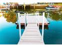 Private dock with boardwalk access to the water at 13730 Melanie Ave, Hudson, FL 34667