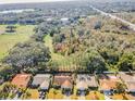 Aerial view of houses and surrounding landscape at 1597 Franklin Way, Dunedin, FL 34698