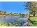 Community pond with lush vegetation and waterfront access at 2243 Greenwich Dr, Sun City Center, FL 33573