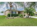 House exterior with lush landscaping and palm trees at 30836 Temple Stand Ave, Wesley Chapel, FL 33543