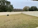 Fenced backyard with fire pit and open grassy area at 10711 Old Sycamore Loop, Land O Lakes, FL 34638