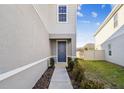 Gray side entrance with walkway and landscaping at 10711 Old Sycamore Loop, Land O Lakes, FL 34638
