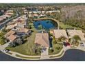 Community overview featuring houses, lush greenery, and a serene lake at 3621 Darston St, Palm Harbor, FL 34685