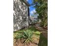 Building exterior showcasing a well-maintained property with walkway at 4902 31St S Ave # 117, Gulfport, FL 33707