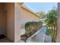 Sidewalk leading to the house entrance with hedges at 31447 Shaker Cir, Wesley Chapel, FL 33543