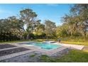 Inviting, rectangular pool with a spa, surrounded by lush greenery at 9244 Rhea Dr, Odessa, FL 33556