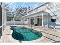 Inviting kidney-shaped pool with a screened enclosure and patio at 1600 Gray Bark Dr, Oldsmar, FL 34677
