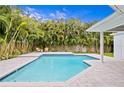 Inviting pool area with a spacious patio and tropical landscaping at 3415 S Belcher Dr, Tampa, FL 33629