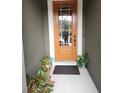 Orange front door with glass panels and landscaping at 5508 Viola Lee Way, Lutz, FL 33558