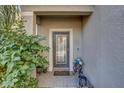 Front entry with glass door and small porch at 15521 Long Cypress Dr, Ruskin, FL 33573