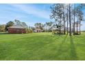 Large grassy backyard with detached garage and shaded seating area at 10813 Dixon Dr, Riverview, FL 33579