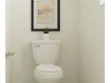 Small half bathroom with white toilet and a framed print at 10843 Ibis Brook Ct, Land O Lakes, FL 34638