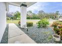 Sidewalk leading to the house, showcasing landscaping and a neighborhood view at 3127 Ivyhill Ct, Holiday, FL 34691