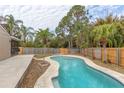 Relaxing kidney-shaped pool surrounded by lush landscaping at 102 Shoreview Ln, Oldsmar, FL 34677