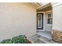 Front entrance with a gray door and stone accents at 14545 Mirabelle Vista Cir, Tampa, FL 33626