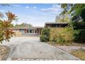 Ranch style home with circular driveway and mature landscaping at 1824 Southwood Ln, Clearwater, FL 33764