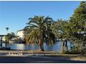 Scenic waterfront view with lush tropical foliage at 330 90Th Ne Ave, St Petersburg, FL 33702