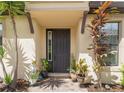 Dark-stained front door with potted plants and brick walkway at 5548 Sentiero Dr, Nokomis, FL 34275