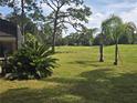 View of the backyard with a golf course view and mature trees at 2280 Toniwood Ln, Palm Harbor, FL 34685
