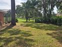 Spacious backyard with lush grass and mature trees at 2280 Toniwood Ln, Palm Harbor, FL 34685