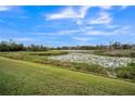 Community lake view with lush green grass and reeds at 10157 Bessemer Pond Ct, Riverview, FL 33578