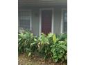 Front entrance with dark-red door and lush tropical plants at 5824 58Th Street Ct, Tampa, FL 33619