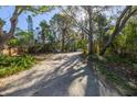 Long private driveway leading to the house through lush vegetation at 7172 Dr Martin Luther King Jr S St, St Petersburg, FL 33705