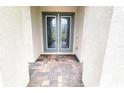 Double front doors with glass inserts and brick flooring at 12854 Boggy Creek Dr, Riverview, FL 33579