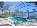 Inviting screened pool area with plenty of lounge space at 4909 Willow Ridge Ter, Valrico, FL 33596