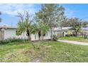 Side view of a light brick ranch home with palm trees and a partially visible neighbor's house at 6702 Sandra Dr, Port Richey, FL 34668