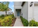 Townhome's teal front door and walkway, surrounded by landscaping at 7230 Sweet Alyssum Ct, Tampa, FL 33619