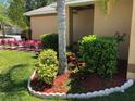 Landscaped area with red mulch, green shrubs, and palm trees at 18116 Portside St, Tampa, FL 33647