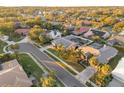 Aerial view of a house nestled in a quiet, tree-lined neighborhood at 1811 Stonebrook Ln, Safety Harbor, FL 34695