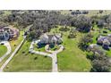 Luxury home on spacious lot with mature trees and landscaping at 11518 Hammock Oaks Ct, Lithia, FL 33547