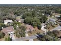Aerial view of a residential neighborhood with lush trees at 2712 Mock Orange Ct, Valrico, FL 33594