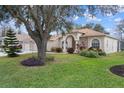 House with large oak tree, manicured lawn, and landscaping at 2342 Edelweiss Loop, Trinity, FL 34655