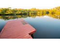 Red wooden dock extending over calm water, reflecting lush greenery at 4506 24Th S Ave, Tampa, FL 33619