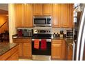 Modern kitchen with stainless steel appliances and wood cabinets at 17346 Mint Leaf Ln, Land O Lakes, FL 34638