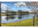 Serene lake view with lush landscaping and mature trees at 8442 Lagerfeld Dr, Land O Lakes, FL 34637
