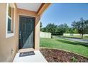 Dark-colored front door with a welcoming mat and landscaping at 17409 New Cross Cir, Lithia, FL 33547