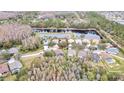 Aerial view showing home's location in a quiet residential neighborhood at 19820 Morden Blush Dr, Lutz, FL 33558