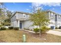 Beautiful two story home with landscaped front yard at 2146 Laceflower Dr, Brandon, FL 33510